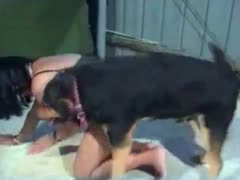 Drilling this female slut's moist pussy with a black dog